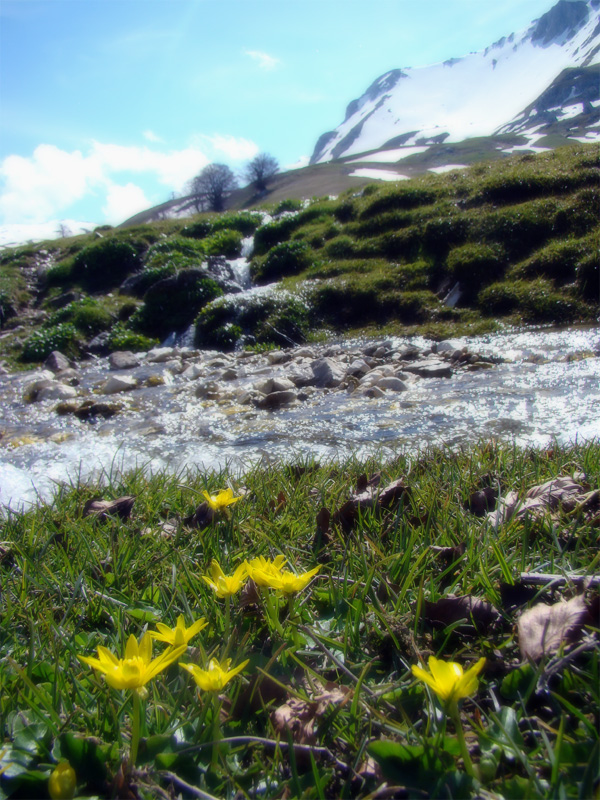Escursione Parco Nazionale d''Abruzzo